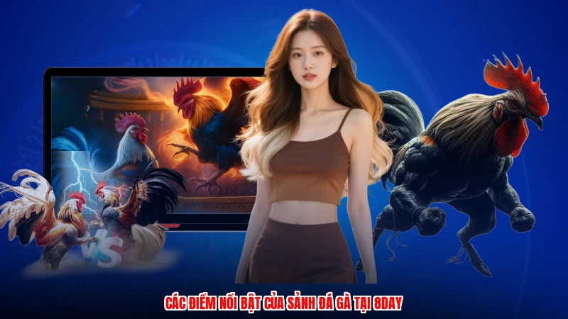 Các điểm nổi bật của sảnh đá gà tại 8DAY