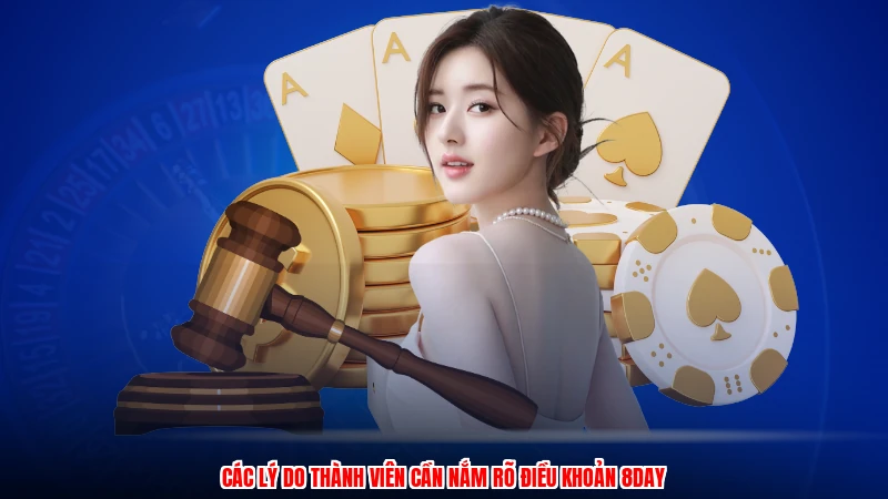 Các lý do thành viên cần nắm rõ điều khoản 8DAY