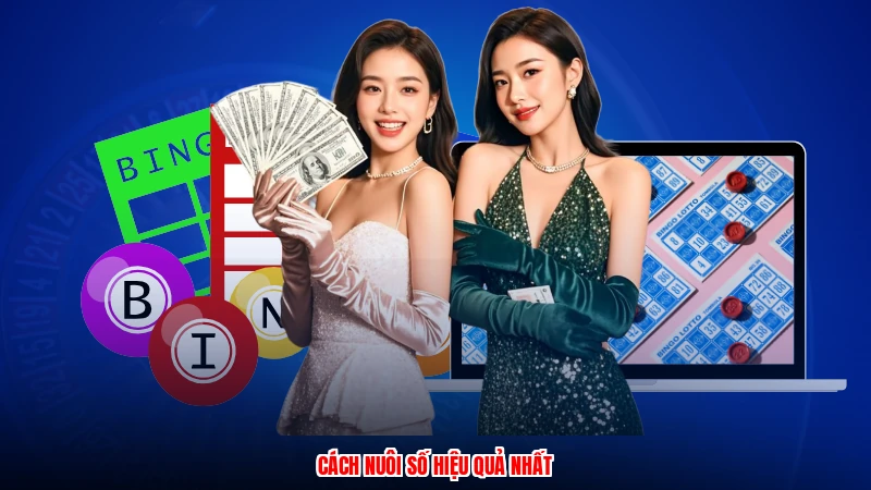 Cách nuôi số hiệu quả nhất