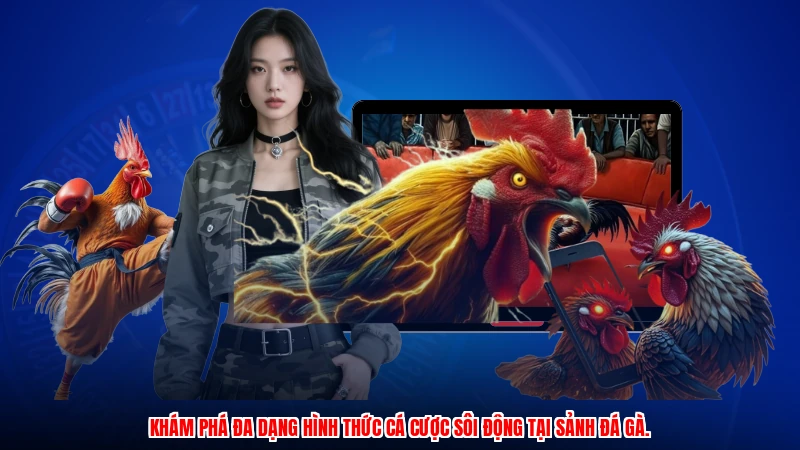 Khám phá đa dạng hình thức cá cược sôi động tại sảnh đá gà.