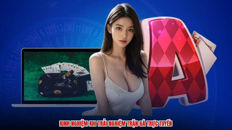 Kinh nghiệm khi trải nghiệm trận gà trực tuyến