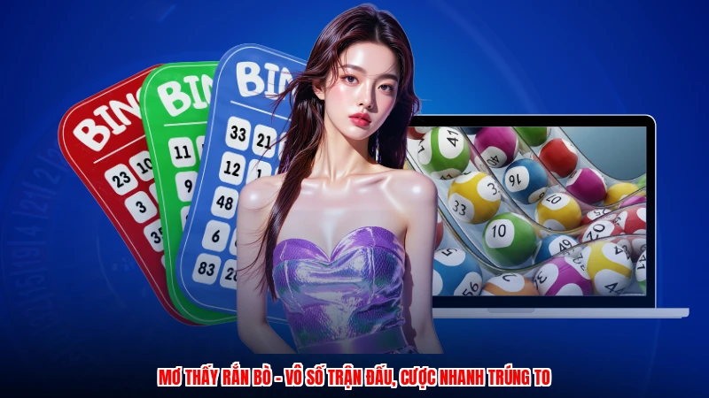 Mơ Thấy Rắn Bò - Vô Số Trận Đấu, Cược Nhanh Trúng To