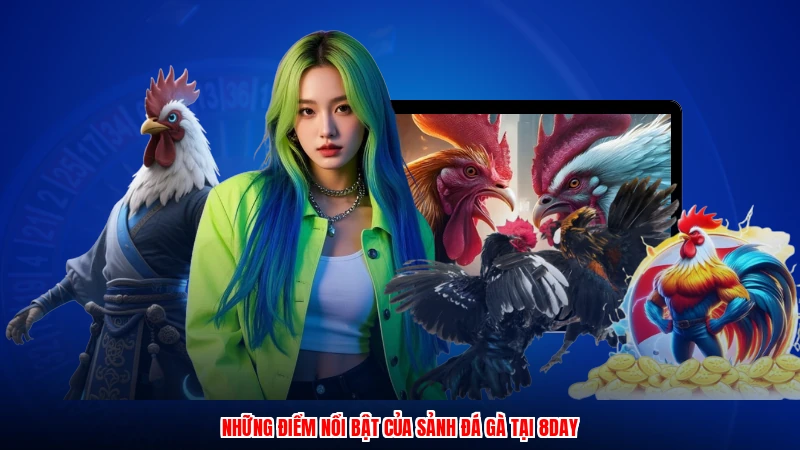 Những điểm nổi bật của sảnh đá gà tại 8DAY