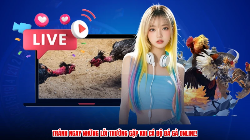 Tránh ngay những lỗi thường gặp khi cá độ đá gà online!